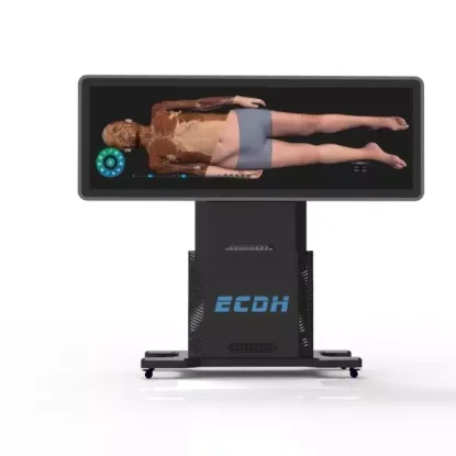 Virtual Anatomy Dissection Table