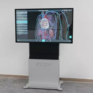 Virtual Anatomy Dissection Table